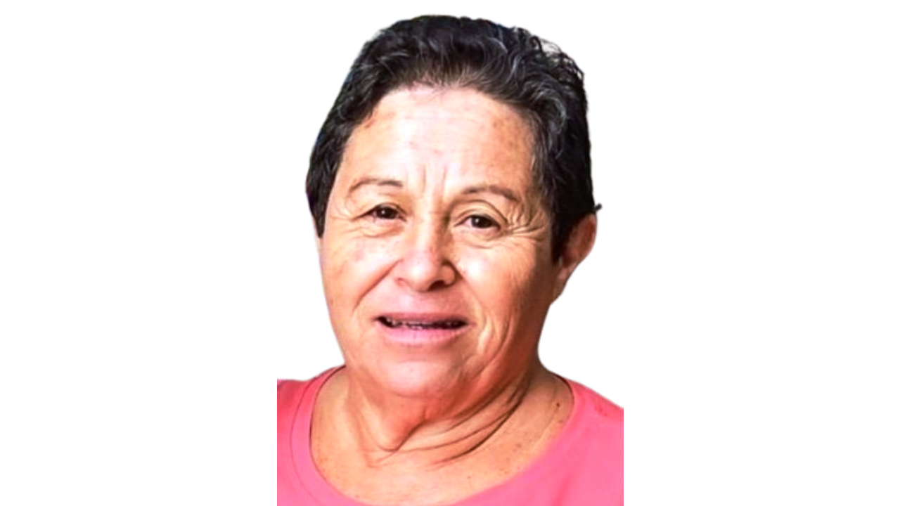 imagem noticia
