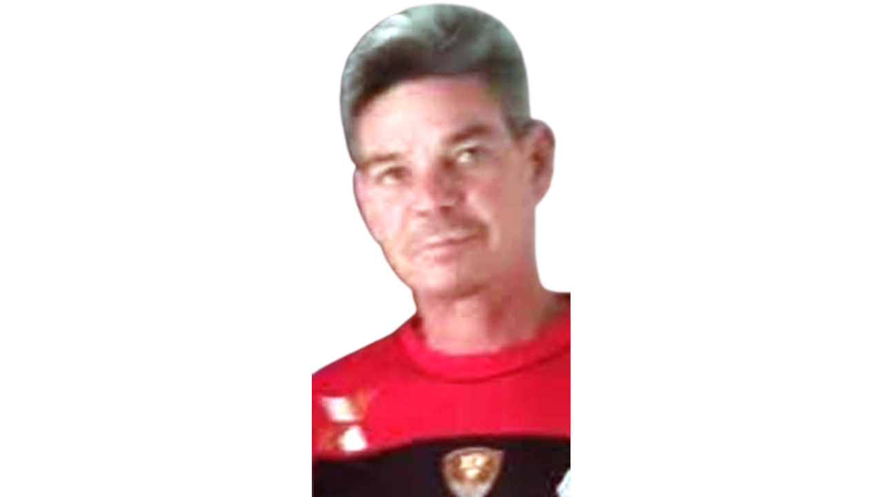 imagem noticia